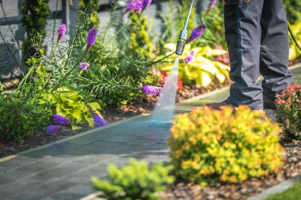 Professional Pressure Washing Services in Smithfield, NC