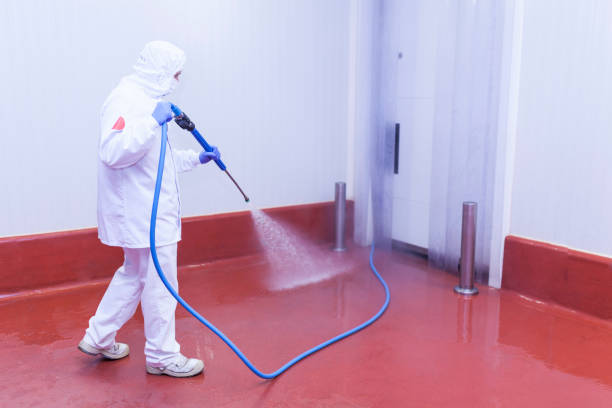 Best Driveway Cleaning and Restoration in Smithfield, NC